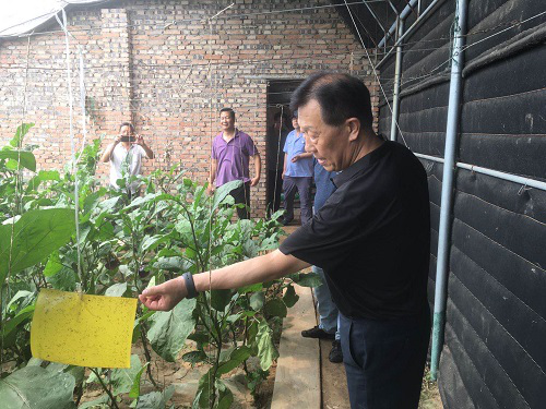天津市農業農村委開展農產品質量安全專項整治行動