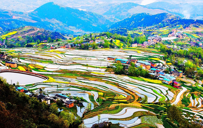 重慶忠縣打造農田濕地6萬余畝 助力穩定糧食生產