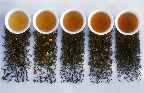 云南鎮沅縣打響“八大爺”品牌 推動茶產業綠色發展